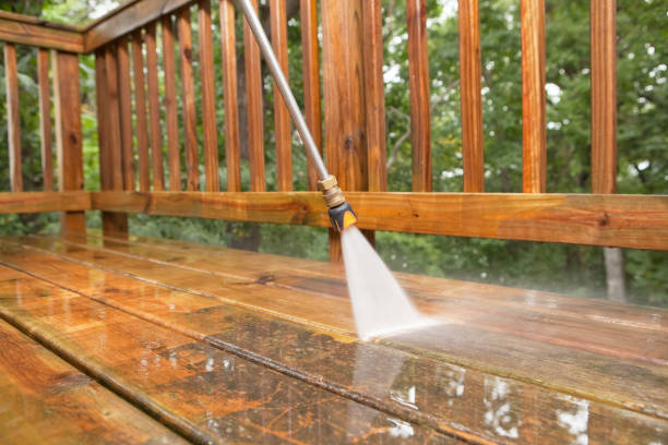 Best Gutter Cleaning  in Apple Creek, OH
